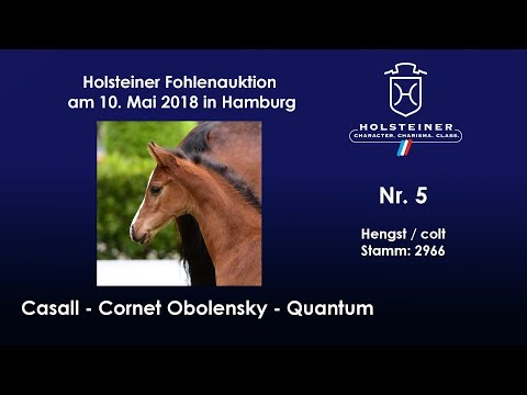 Holsteiner Fohlenauktion Hamburger Derby | Nr. 5 v. Casall - Cornet Obolensky