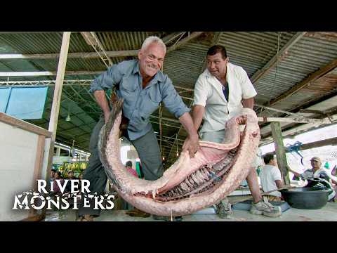 Jeremy Wade's Surprising Discoveries at LOCAL FISH MARKETS Around the Globe | River Monsters