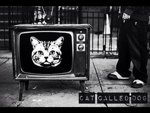 Cat Called Dog - Gods Will