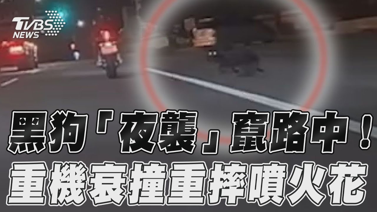 影音/黑狗「夜襲」竄路中! 重機衰撞重摔噴火