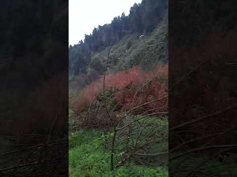 Hermoso puerto cisnes #soydecarahue #patagoniachilena #carreteraaustral #aysén