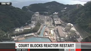 Nuclear Watch: Fukushima Food Ban + Restart Nuclear Energy + Clam leukemia + Update 4/14/2015