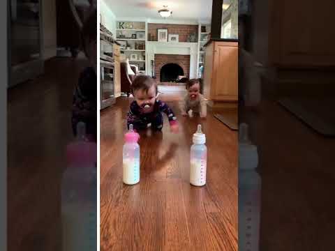 baby crawl race