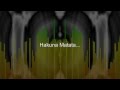 Hakuna Matata (Instrumental & Lyrics ...