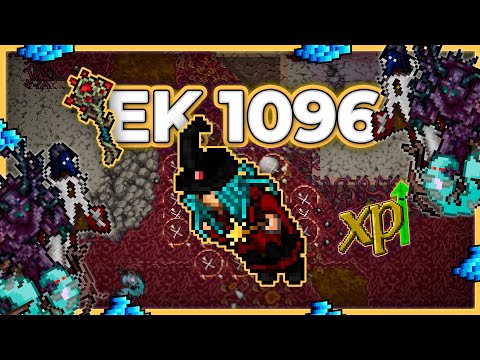 EK 1096 Hunt x4 Rotten Wastelands 11kk/h Raw + 6.6kk Profit - Tibia Hunt [13.40] #tibia #tibiahunt