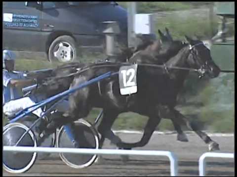 Trotto 28/09/2014 - 3° corsa