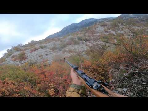 Lov na divlje svinje Lovačka grupa Mijo Mačak (14.11.2024)