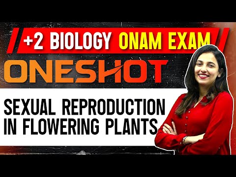 Plus Two Biology Onam Exam | Sexual Reproduction In Flowering Plants | Oneshot | Exam Winner +1