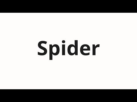 How to pronounce Spider
