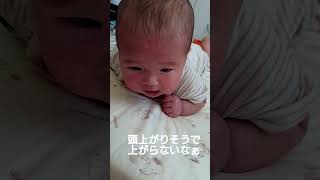 首座る練習😉頑張ってるけどしんどい
