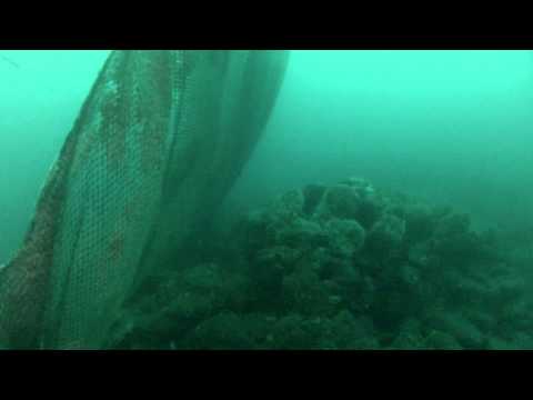 Short Banks 200 Feet Deep Lost Commercial Fishing Net