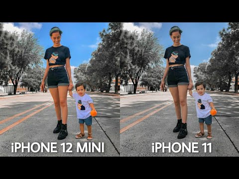 iPhone 12 Mini Vs iPhone 11 Camera Comparsion...