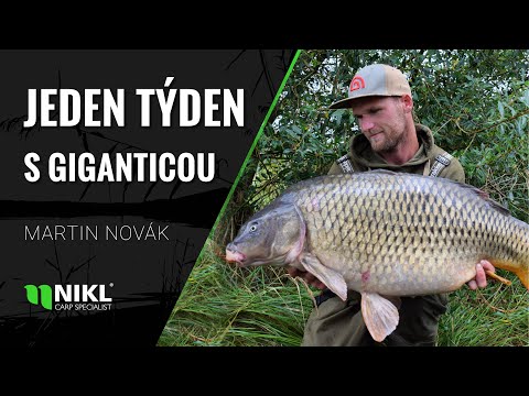Týden s Gigantikou | Martin Novák | Karel Nikl
