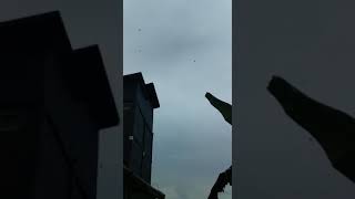 Download lagu Sp. Dahsyat daerah Kalimantan mp3