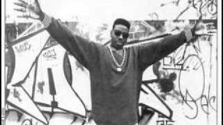 Schoolly D - What Does It Mean ( p.s.k. )