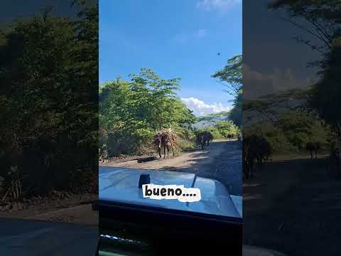 Ruta por Barbosa y Aguada, Santander | Amanecer, carretera y panela