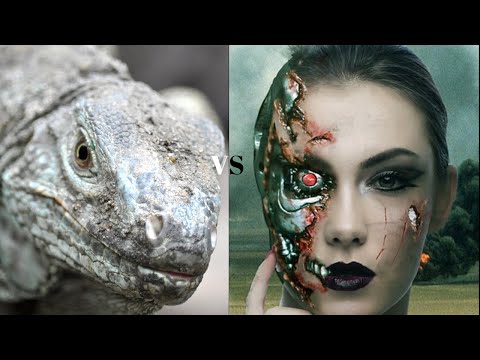 Sicilian Sveshnikov Endgame Masterclass || Komodo vs Leela 61-185