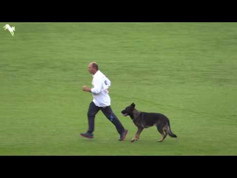 FCI IPO WM 2016 SLOVENIA  Vassilis Balakas & Aris Mohnwiese B:75