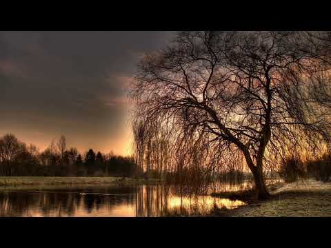 Slackwax feat. Dan Reeder feat. Dan Reeder - Willow Tree