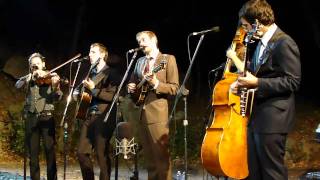 Alex - Punch Brothers