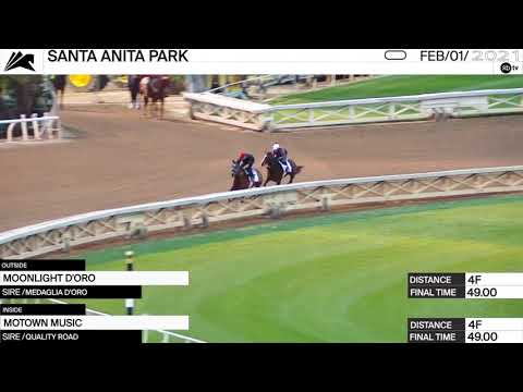 Preview of the Grade III Las Virgenes Stakes at Santa Anita Park on February 6th, 2021.