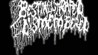 Bestially Raped Till Dismembered - Endless Earfuck