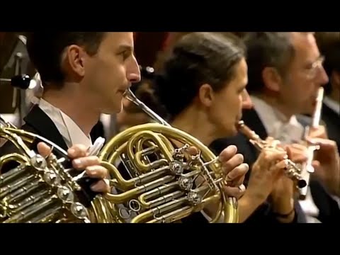 Brahms's 1st Symphony, Horn solo