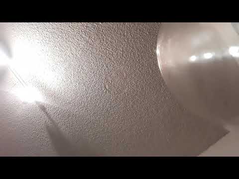 Snaccz off the to #1