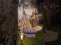 Te quiero dekoracje - 1