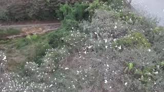 探索白鷺絲之家