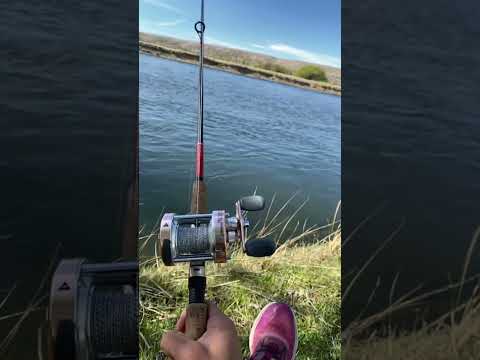 Pesca En Facundo y Sarmiento Chubut.