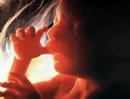 Pregnancy Weeks 13-16, Month #4 (Pregnancy Health Guru)