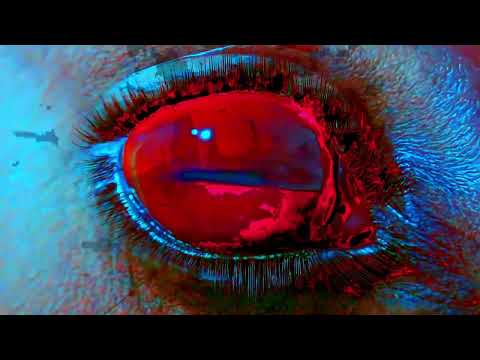 [FREE] sewerslvt x goreshit ambient breakcore dnb type beat - "EDEN"