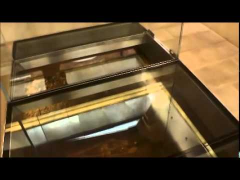 Richard III visitor centre - a look inside