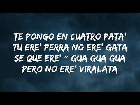 J BALVIN, TOKISCHA – PERRA (LETRA/LYRICS)