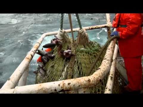 Windstärke 9- Der Höllenritt der Hochseefischer Folge 2