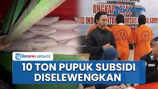 Detik-detik Penyelewengan 10 Ton Pupuk Subsidi di Muara Enim Dibongkar, Polisi Cegat Truk di Jalan