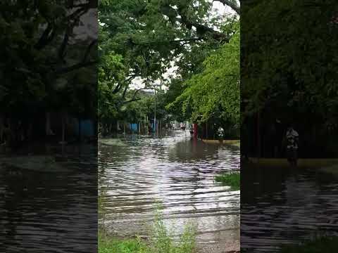 Medio llueve por la Sede Universitaria de Cartagena en Mompox Bolivar. 🚤🛶 #mompox #Bolivar #lluvia