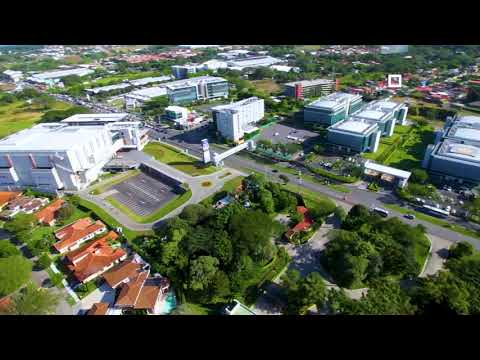 Forum 2 - Video Corporativo