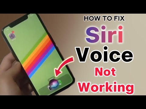 How to Fix Siri Voice Not Working on iPhone after iOS 18 ? /Siri Not listening, Not Speaking.