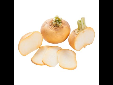 Пареная репа. Steamed turnips. 蒸萝卜. उबले हुए शलजम