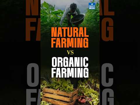 Organic Farming vs. Natural Farming: What's the Difference? 🌱#gogreen #backtobasics