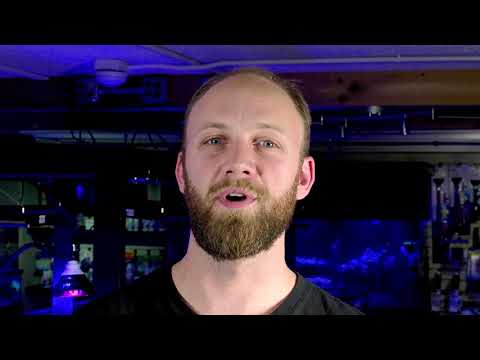 Water Chemistry 101 for your Reef Aquarium