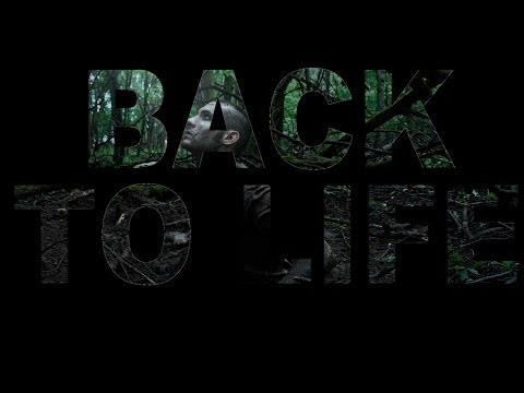 NADI - Back To Life (3OH!3 Cover)