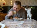 Как мой кот, просит кушать?   Butch cat chooses sausage?