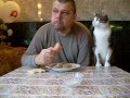 Как мой кот, просит кушать. Butch cat chooses sausage. 