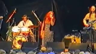 1993 Fairport Convention Annual Reunion