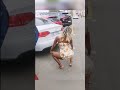 Durban Sex Babe Sex