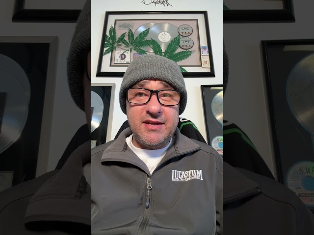 Damizza on the state of the music business for songwriters