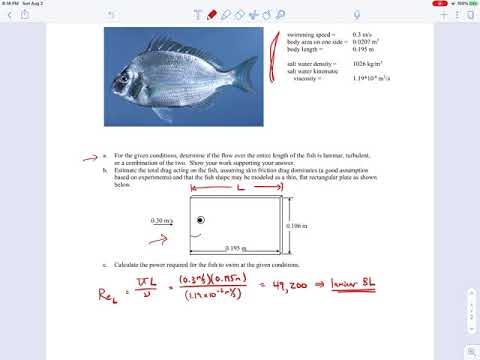 Boundary Layer Example - BL_36
